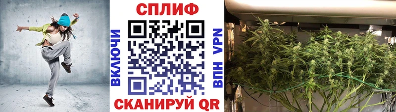 Марихуана индика  где найти наркотики  гидра онион  Балей 